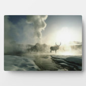 Plaque Photo Silhouette d'Elk au Castle Geyser (Devant)