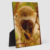 Plaque Photo Singe Cheeky. (Côté)