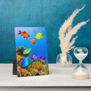 Plaque Photo SlipperyJoe's Fish Pride tropicale vert bleu pourp