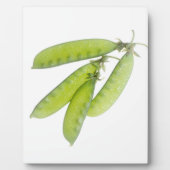 Plaque Photo Snow (Devant)