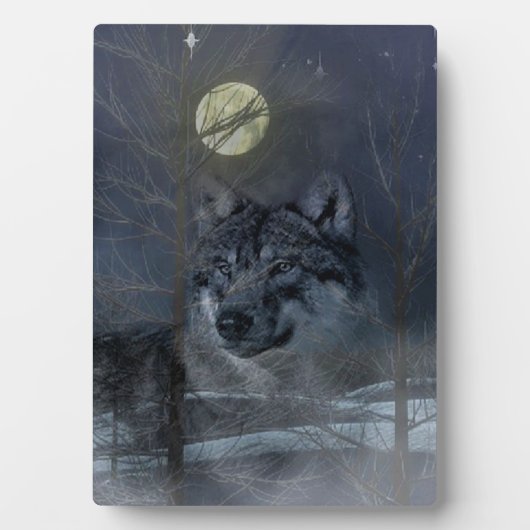 Plaque Photo Soirée Wolf Spirit Moon (Devant)