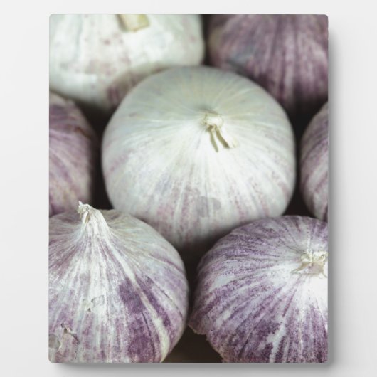 Plaque Photo Solo Garlic (Devant)