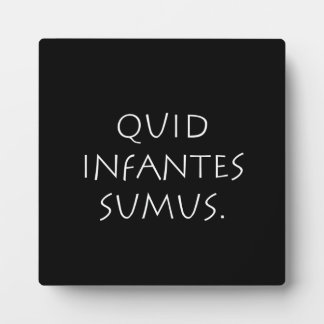 Plaque Photo Somme d'infantes