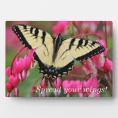 Plaque Photo Soudain oriental (Devant)