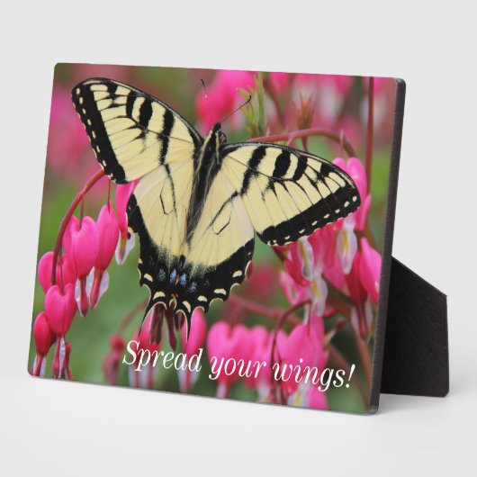 Plaque Photo Soudain oriental (Côté)