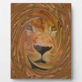 Plaque Photo Sourire de lion (Devant)