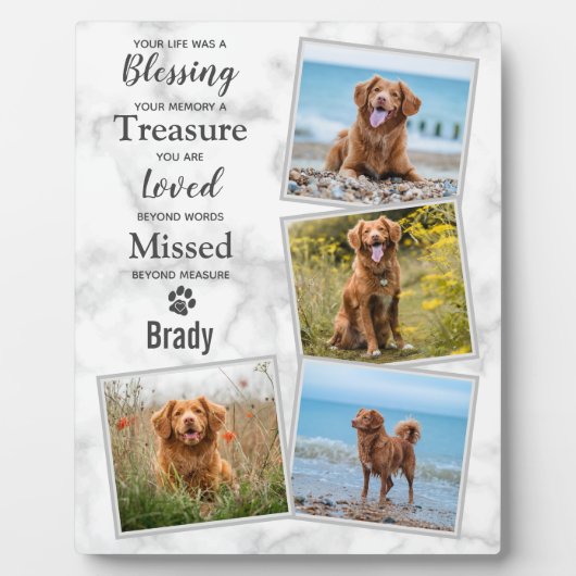 Plaque Photo Souvenir de la perte de l'animal de compagnie Keep (Devant)