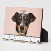 Plaque Photo Souvenir des animaux de compagnie Garder l'éternit (Côté)