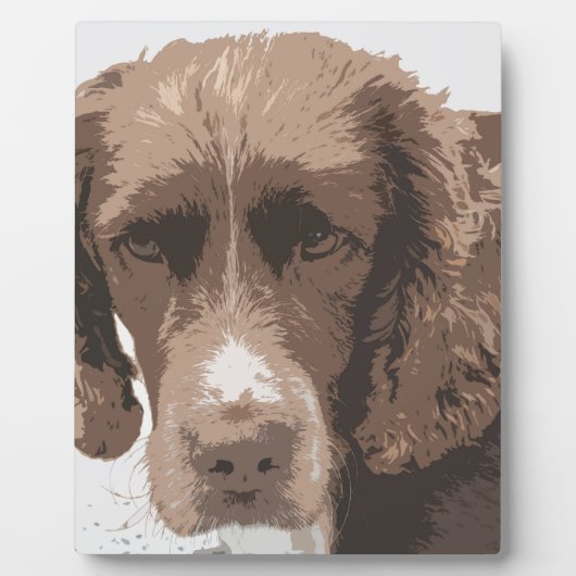 Plaque Photo Springer anglais (Devant)
