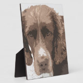 Plaque Photo Springer anglais (Côté)