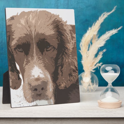 Plaque Photo Springer anglais (Côté)