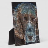 Plaque Photo Springer anglais (Côté)