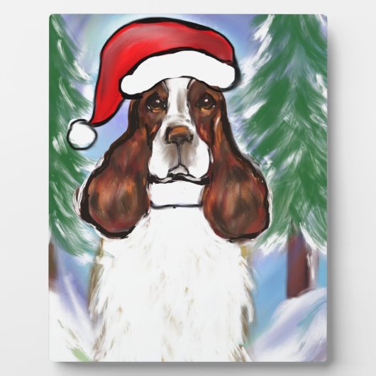 PLAQUE PHOTO SPRINGER SPANIEL ANGLAIS (Devant)