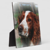 Plaque Photo Springer Spaniel Chien Art (Côté)