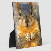 Plaque Photo Squirrel Love_ (Côté)
