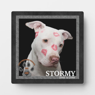 Plaque Photo Staffordshire Terrier Dog Breed Memorial