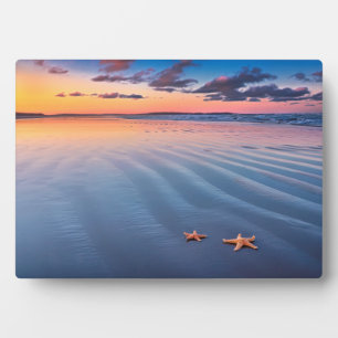Plaque Photo Starfish