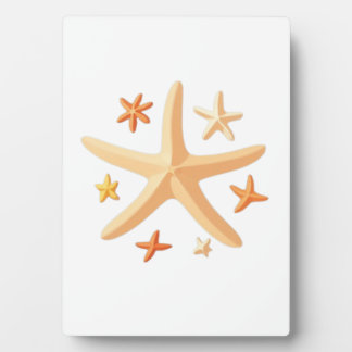 Plaque Photo Starfish and the Small Ones