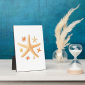 Plaque Photo Starfish and the Small Ones (Côté)