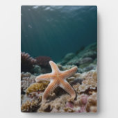 Plaque Photo Starfish in the Deep Sea (Devant)
