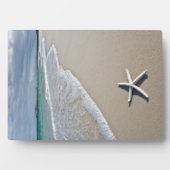 Plaque Photo Starfish Sur Une Plage Éloignée (Devant)