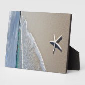 Plaque Photo Starfish Sur Une Plage Éloignée (Côté)