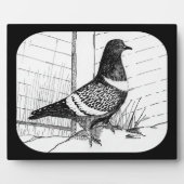 Plaque Photo Starling Pigeon 1973 (Devant)