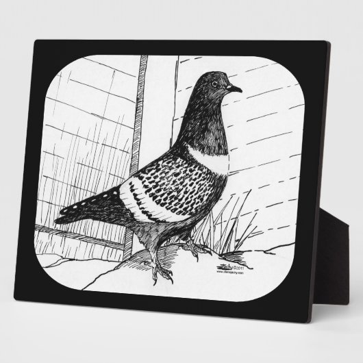 Plaque Photo Starling Pigeon 1973 (Côté)
