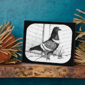 Plaque Photo Starling Pigeon 1973 (Côté)
