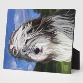 Plaque Photo Stella, le chien des moutons anglais (Côté)