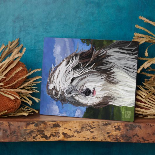 Plaque Photo Stella, le chien des moutons anglais (Côté)