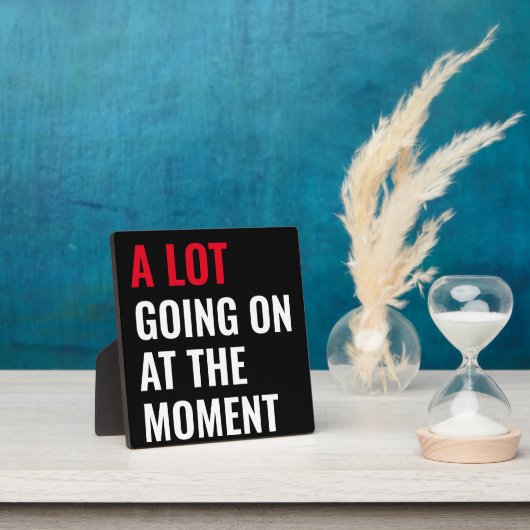 Plaque Photo Sticker (Insitu)