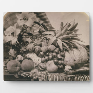 Plaque Photo Still Life with Fruit, 1860 (sepia photo)