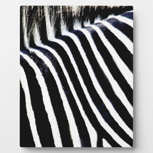 Plaque Photo Stripes & I_ (Devant)