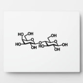Plaque Photo Structure du lait lactose (Devant)