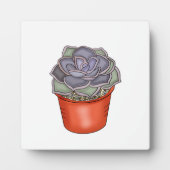 Plaque Photo Succulent à main (Devant)