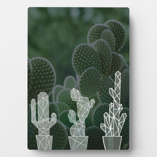 Plaque Photo Succulents verts (Devant)