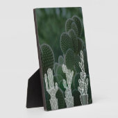 Plaque Photo Succulents verts (Côté)