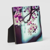 Plaque Photo Succursale en fleurs de cerisier (Recto)