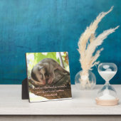 Plaque Photo sucre planeur bébé (Insitu)