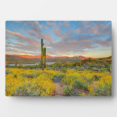 Plaque Photo Sunset on Desert Landscape (Devant)