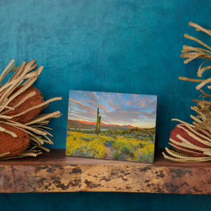 Plaque Photo Sunset on Desert Landscape