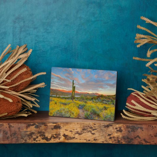 Plaque Photo Sunset on Desert Landscape (Côté)