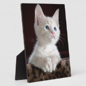 Plaque Photo Super mignon Kitten blanc (Côté)