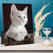 Plaque Photo Super mignon Kitten blanc (Côté)