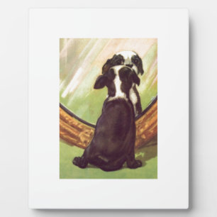 Plaque Photo Super Sweet Vintage Baby Boston Terrier