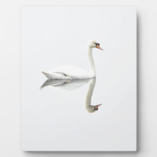 Plaque Photo Swan