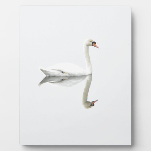 Plaque Photo Swan (Devant)