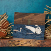 Plaque Photo Swan (Côté)