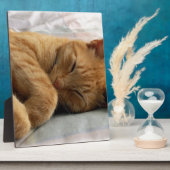 Plaque Photo Sweet Dreams (Côté)